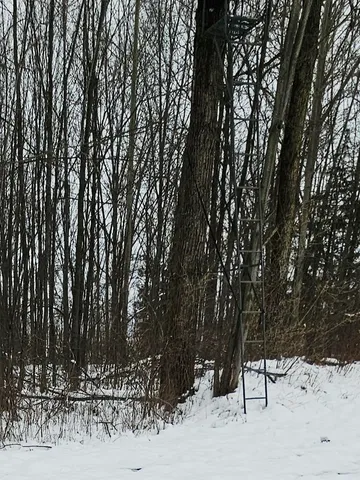 $269,900 | 490 Kelley Road, Reading, MI 49274