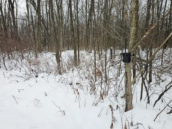$269,900 | 490 Kelley Road, Reading, MI 49274