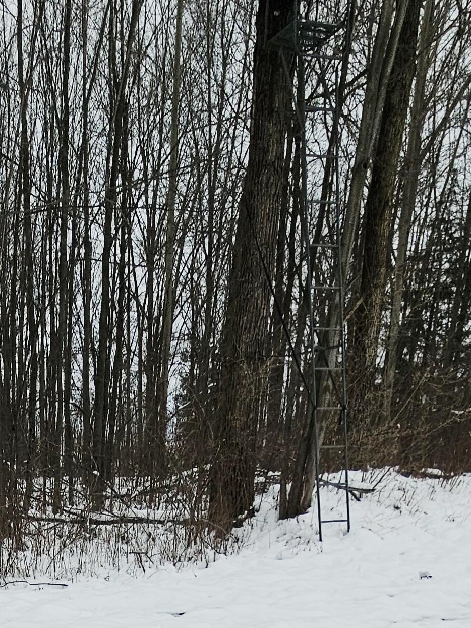 490 Kelley Road Reading, MI 49274 - Photo 15 of 36 20251206_160712