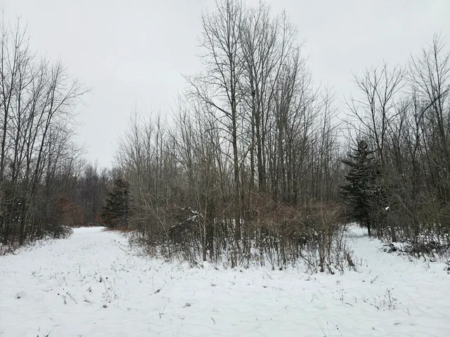 $269,900 | 490 Kelley Road, Reading, MI 49274