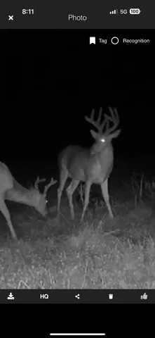 $269,900 | 490 Kelley Road, Reading, MI 49274