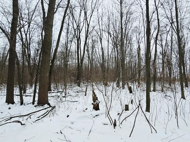 $269,900 | 490 Kelley Road, Reading, MI 49274