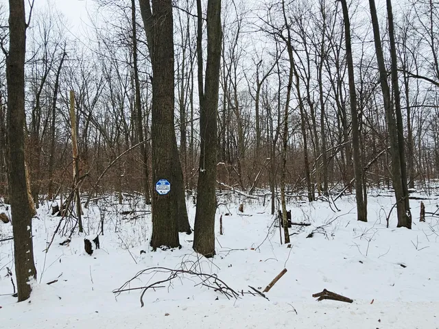 $269,900 | 490 Kelley Road, Reading, MI 49274