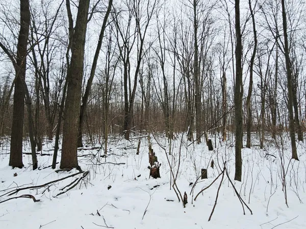 $269,900 | 490 Kelley Road, Reading, MI 49274