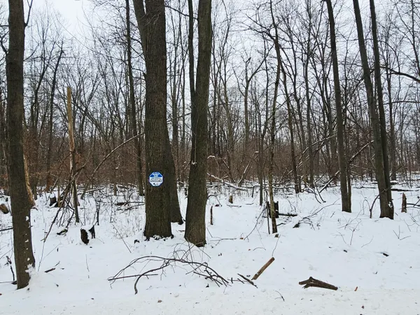 $269,900 | 490 Kelley Road, Reading, MI 49274