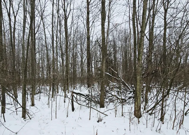 $269,900 | 490 Kelley Road, Reading, MI 49274