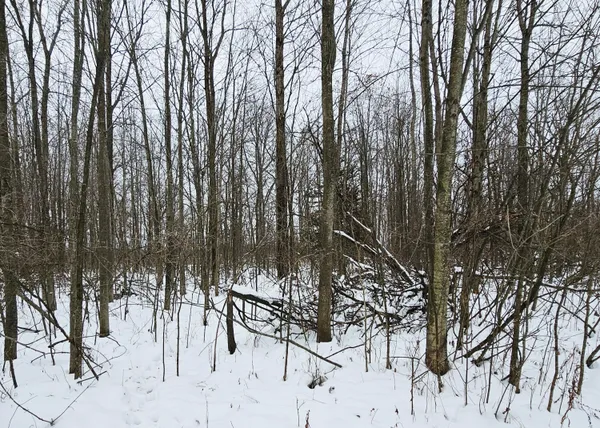$269,900 | 490 Kelley Road, Reading, MI 49274