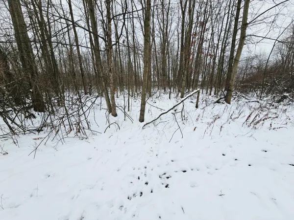 $269,900 | 490 Kelley Road, Reading, MI 49274