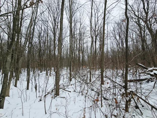 $269,900 | 490 Kelley Road, Reading, MI 49274