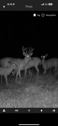 $269,900 | 490 Kelley Road, Reading, MI 49274