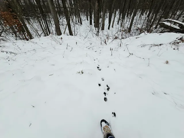 $269,900 | 490 Kelley Road, Reading, MI 49274