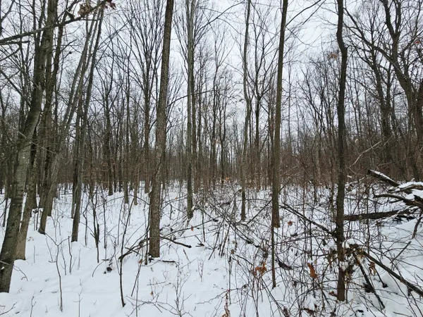 $269,900 | 490 Kelley Road, Reading, MI 49274