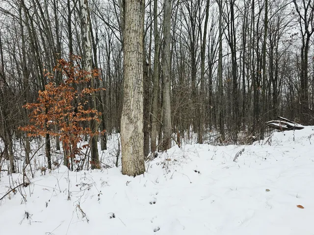 $269,900 | 490 Kelley Road, Reading, MI 49274