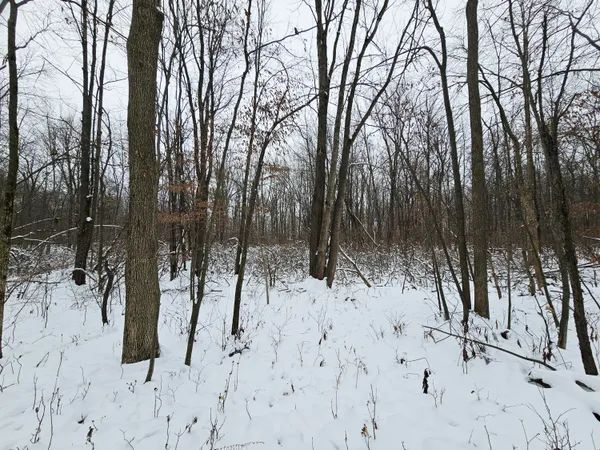 $269,900 | 490 Kelley Road, Reading, MI 49274