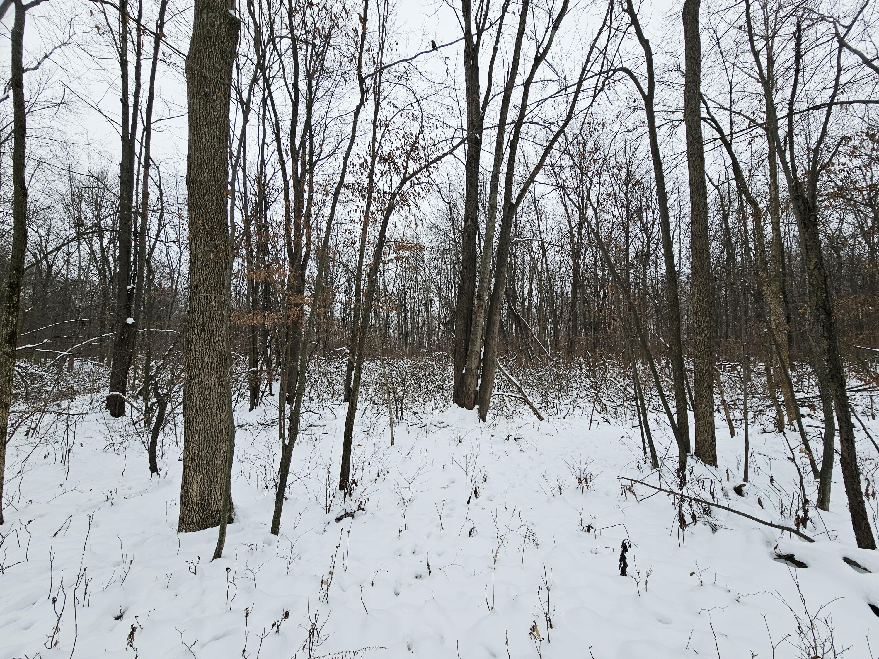 490 Kelley Road Reading, MI 49274 - Photo 33 of 36 20251206_161143