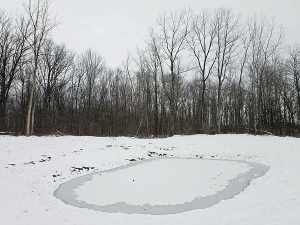 $269,900 | 490 Kelley Road, Reading, MI 49274