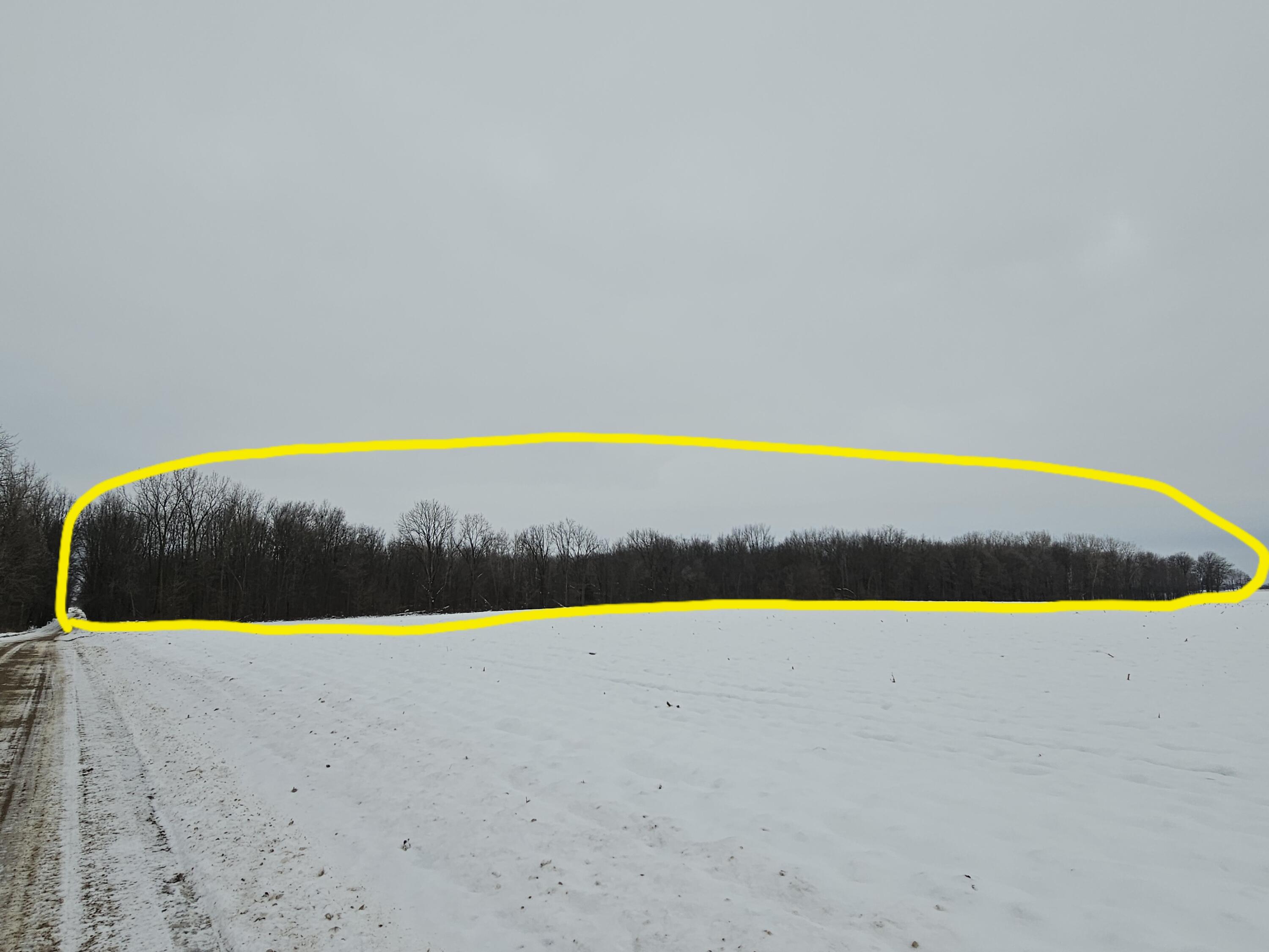 490 Kelley Road Reading, MI 49274 - Photo 6 of 36 20251206_162806