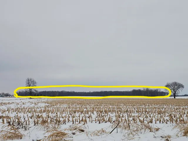 $269,900 | 490 Kelley Road, Reading, MI 49274