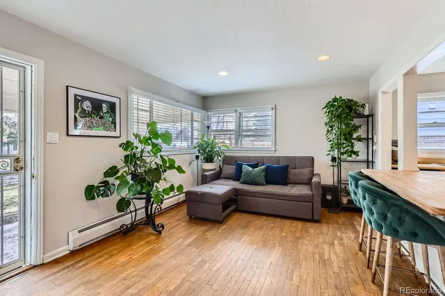 a living room with furniture and a potted plant