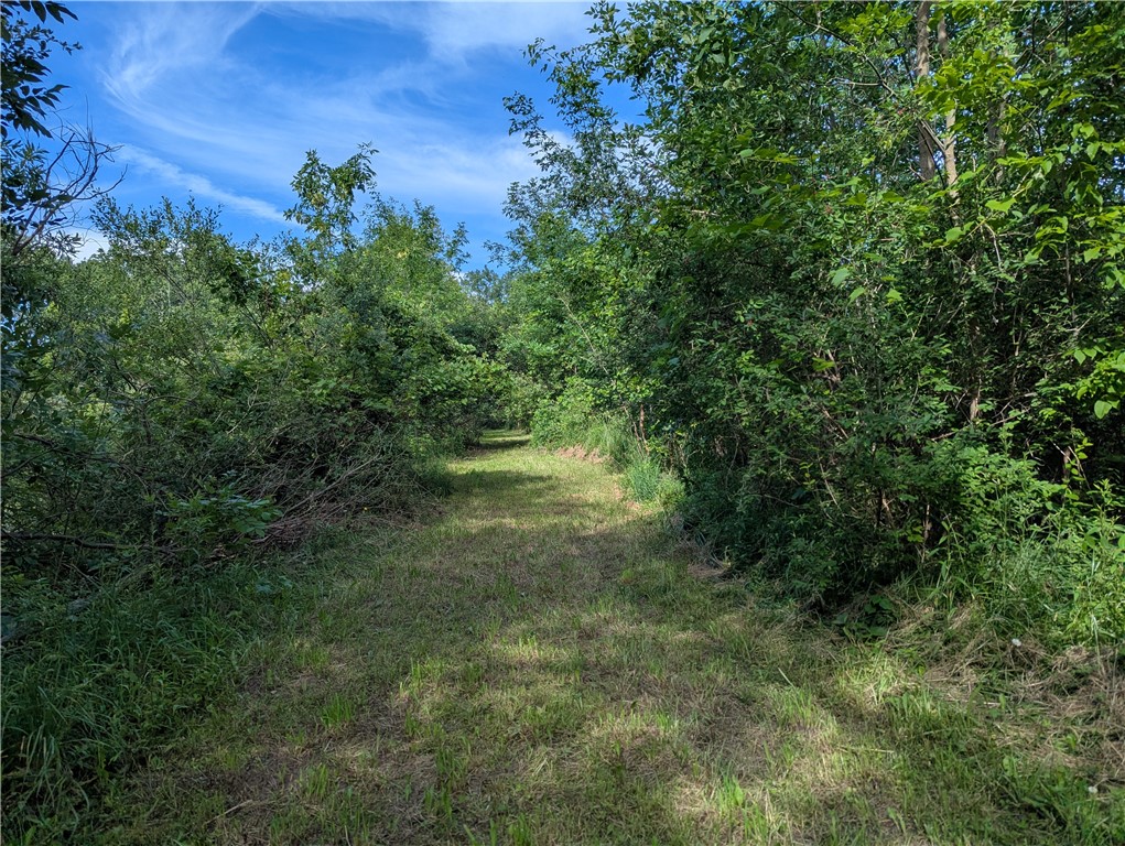 3512 Densmore Road Albion, NY 14411 - Photo 11 of 19
