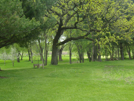 7235 Garden Prairie Road Garden Prairie, IL 61038 - Photo 11 of 11 a grassy field with trees in the background
