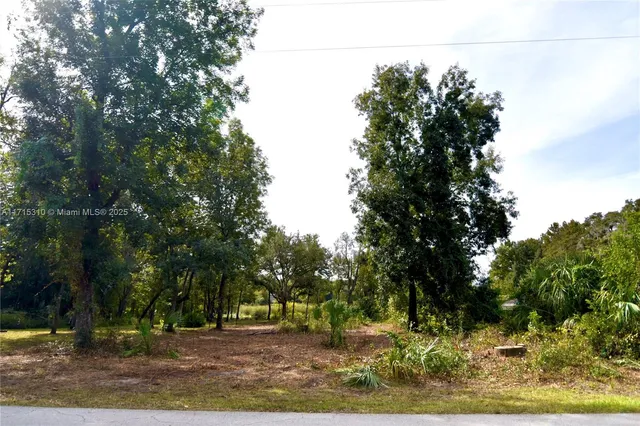 a view of a yard with plants and trees
