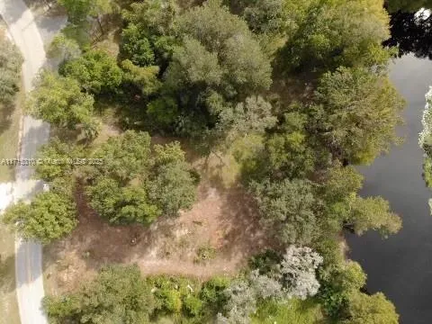 a view of a yard with a tree
