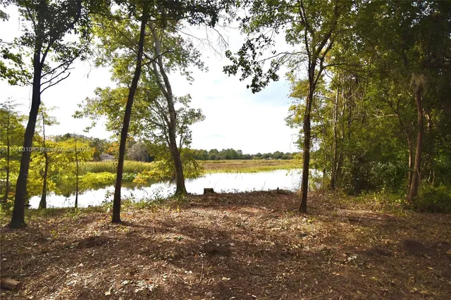 a view of lake with tree