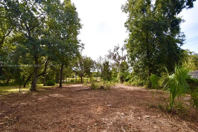a view of outdoor space with trees