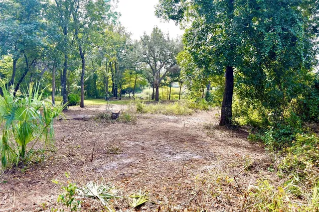 a view of a tree in the middle of a yard