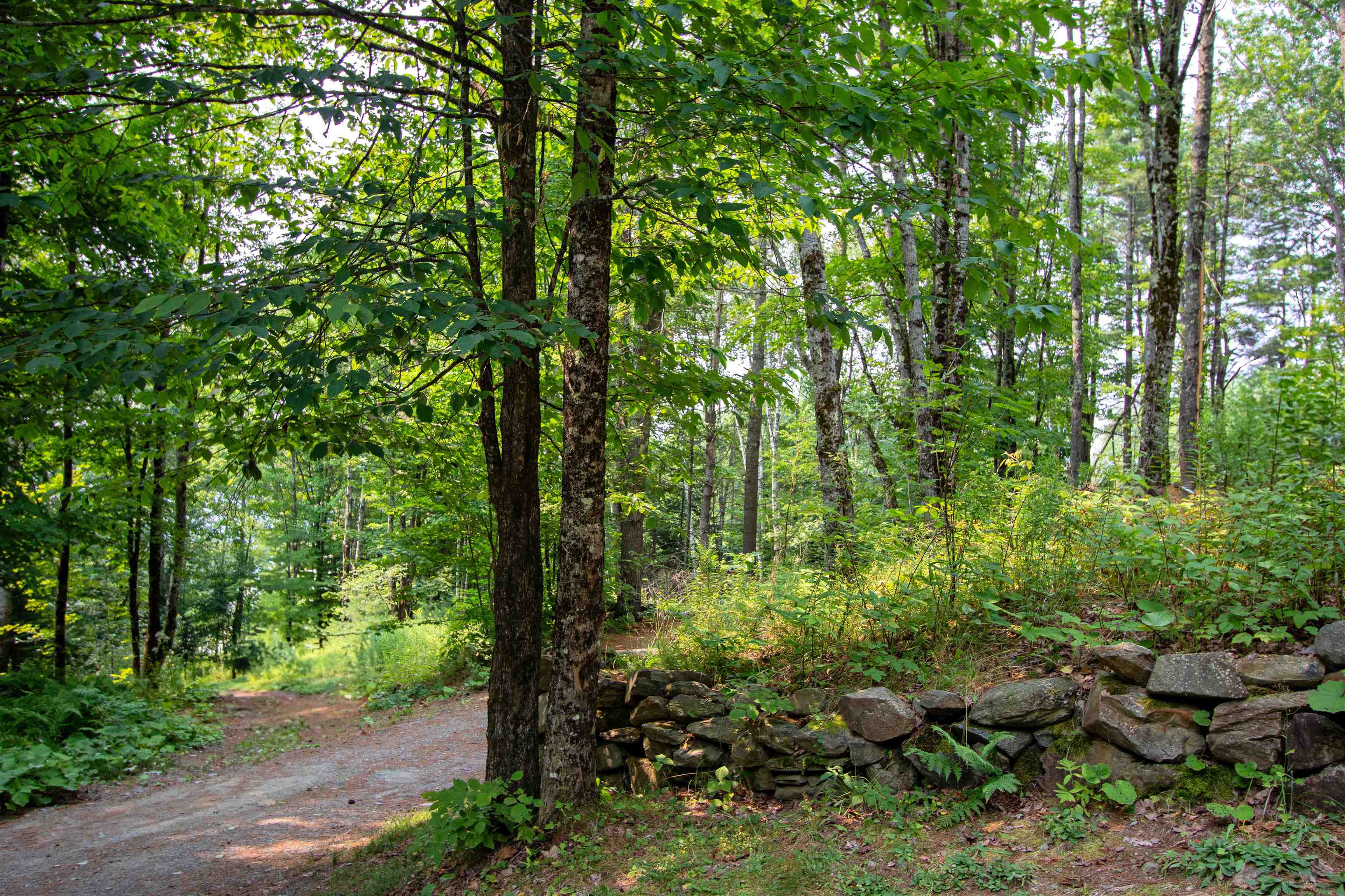1201 Shadow Lake Road Waterford, VT 05819 - Photo 43 of 58