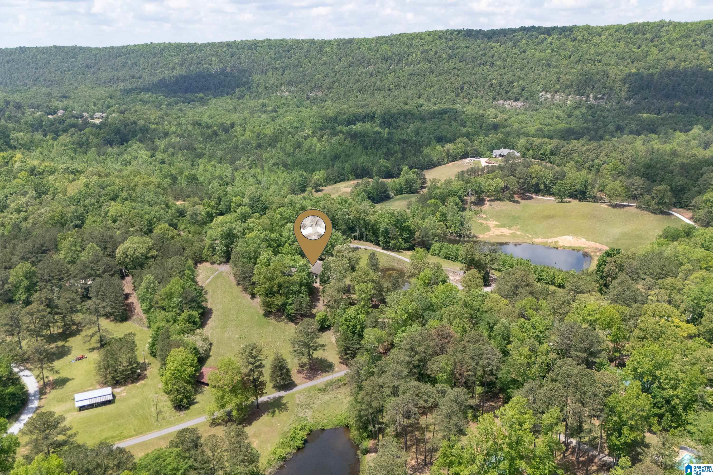 297 Cain Road Chelsea, AL 35043 - Photo 23 of 33