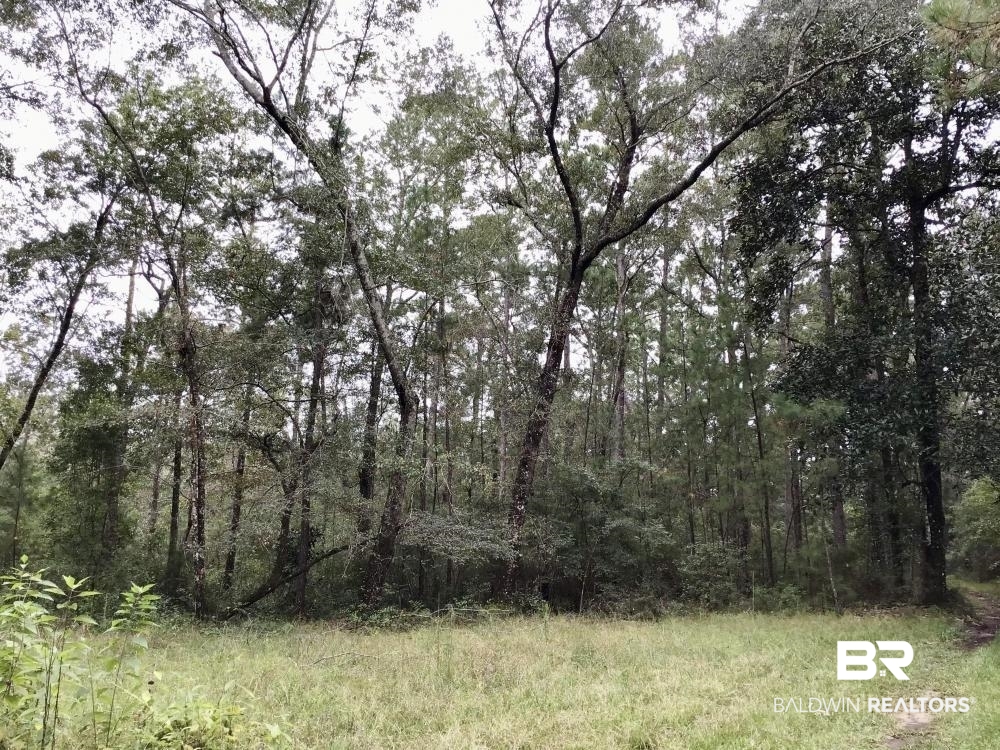 0 Country Road Axis, AL 36505 - Photo 25 of 42