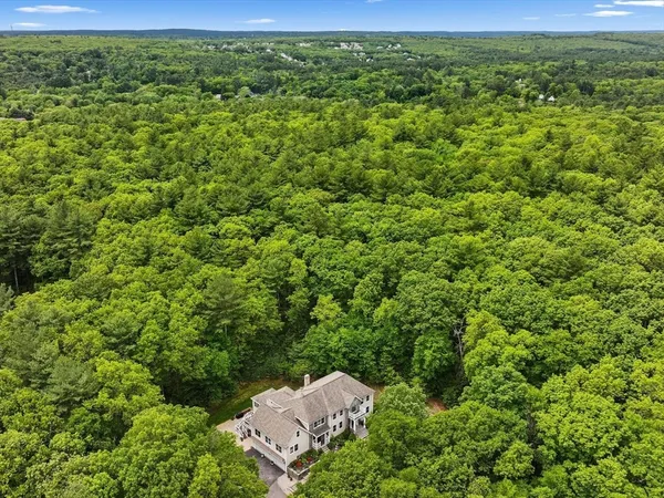 a view of a lush green outdoor space with a sink and green space