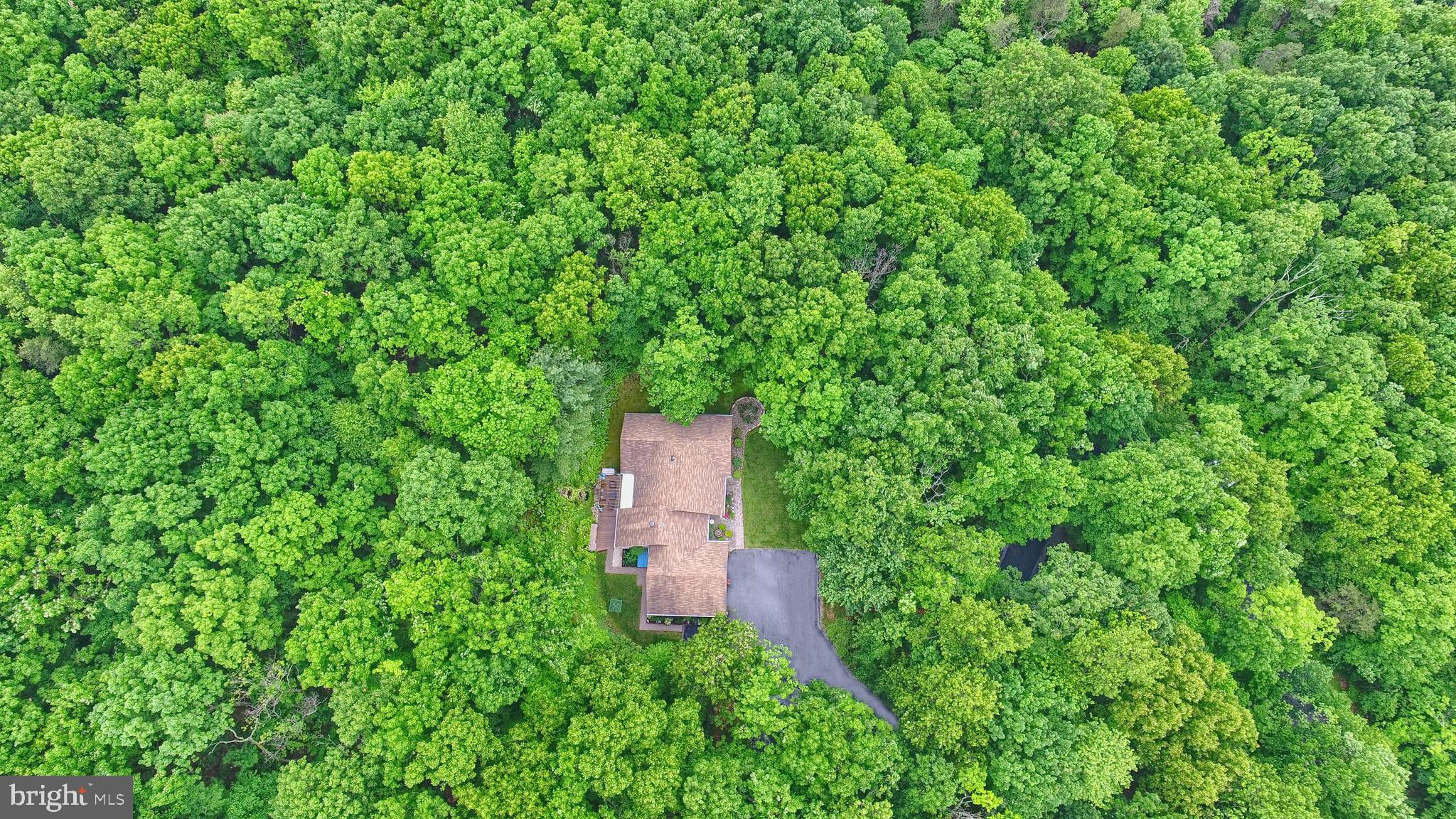 175 Turtle Ridge Road Shermans Dale, PA 17090 - Photo 49 of 57 Gallery Image 49