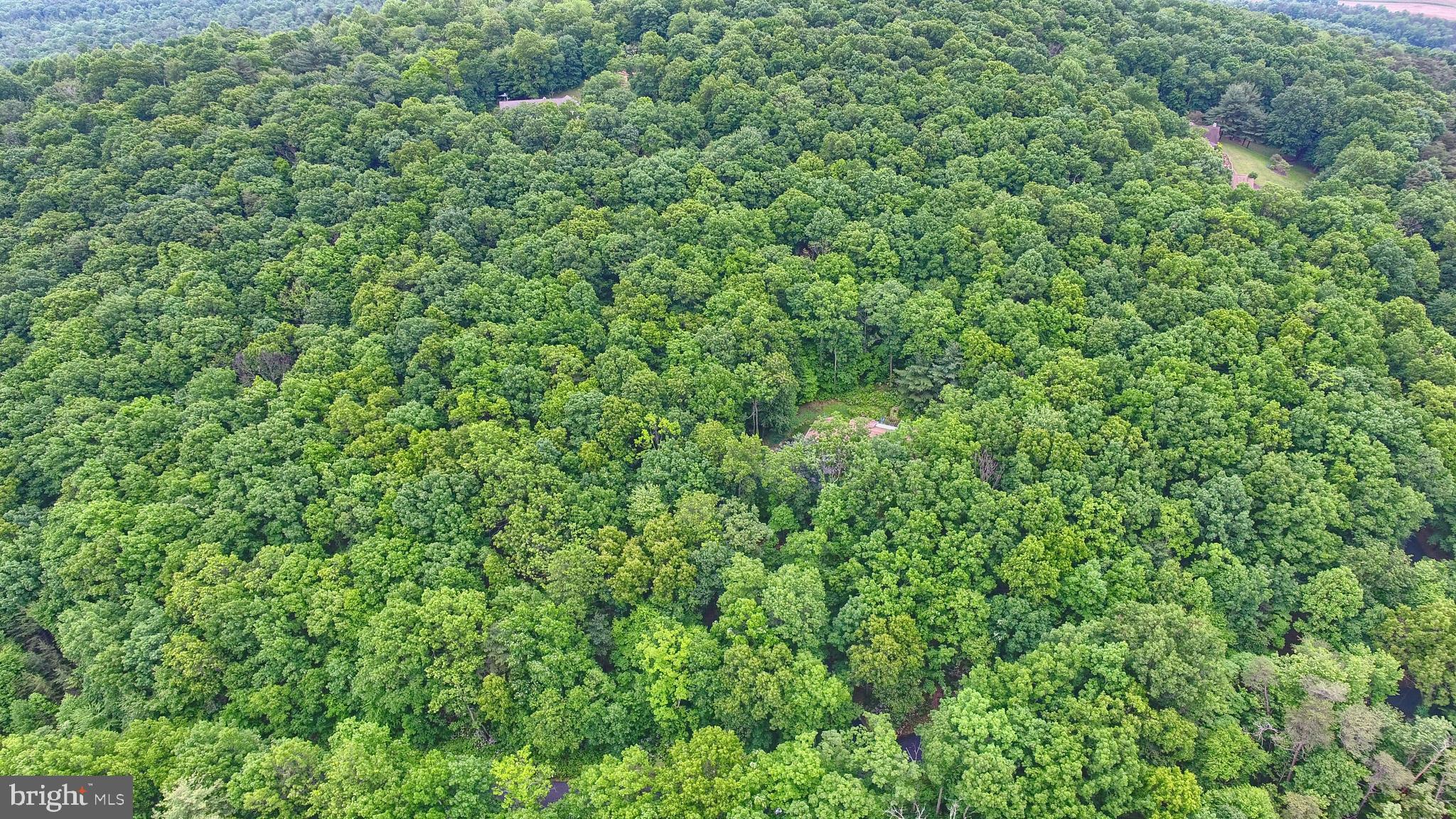 175 Turtle Ridge Road Shermans Dale, PA 17090 - Photo 50 of 57 Gallery Image 50