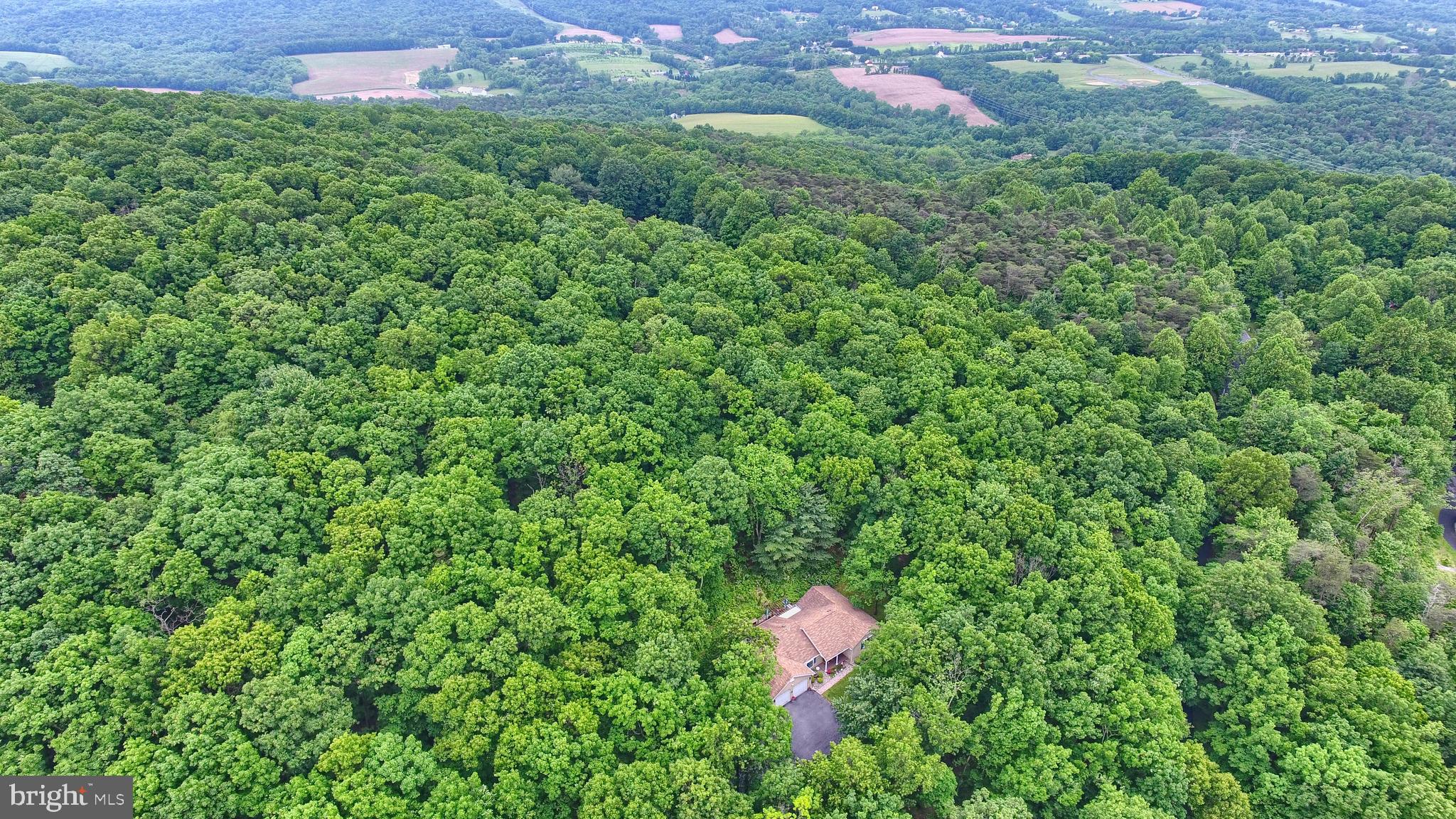 175 Turtle Ridge Road Shermans Dale, PA 17090 - Photo 53 of 57 Gallery Image 53