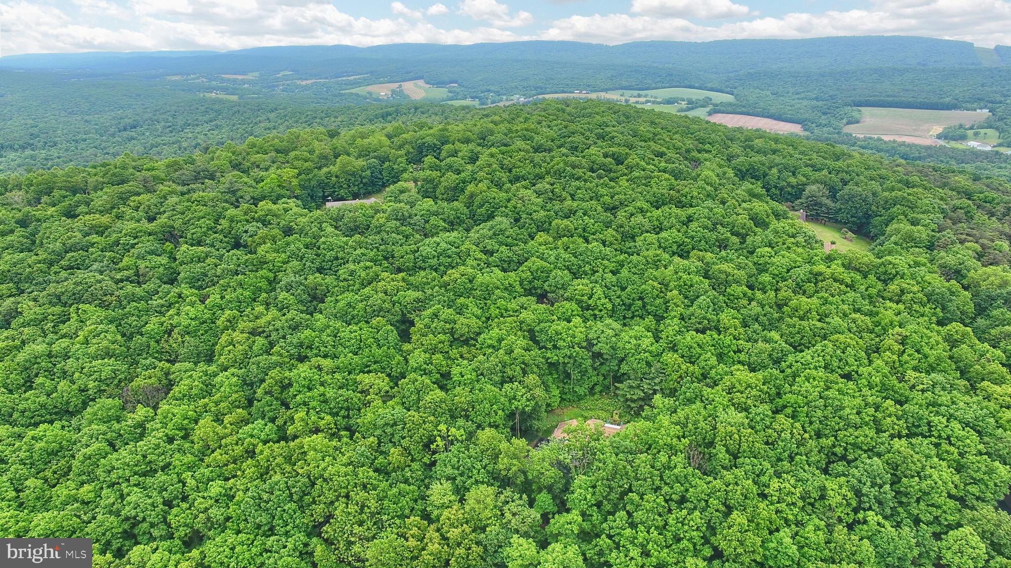 175 Turtle Ridge Road Shermans Dale, PA 17090 - Photo 56 of 57 Gallery Image 56