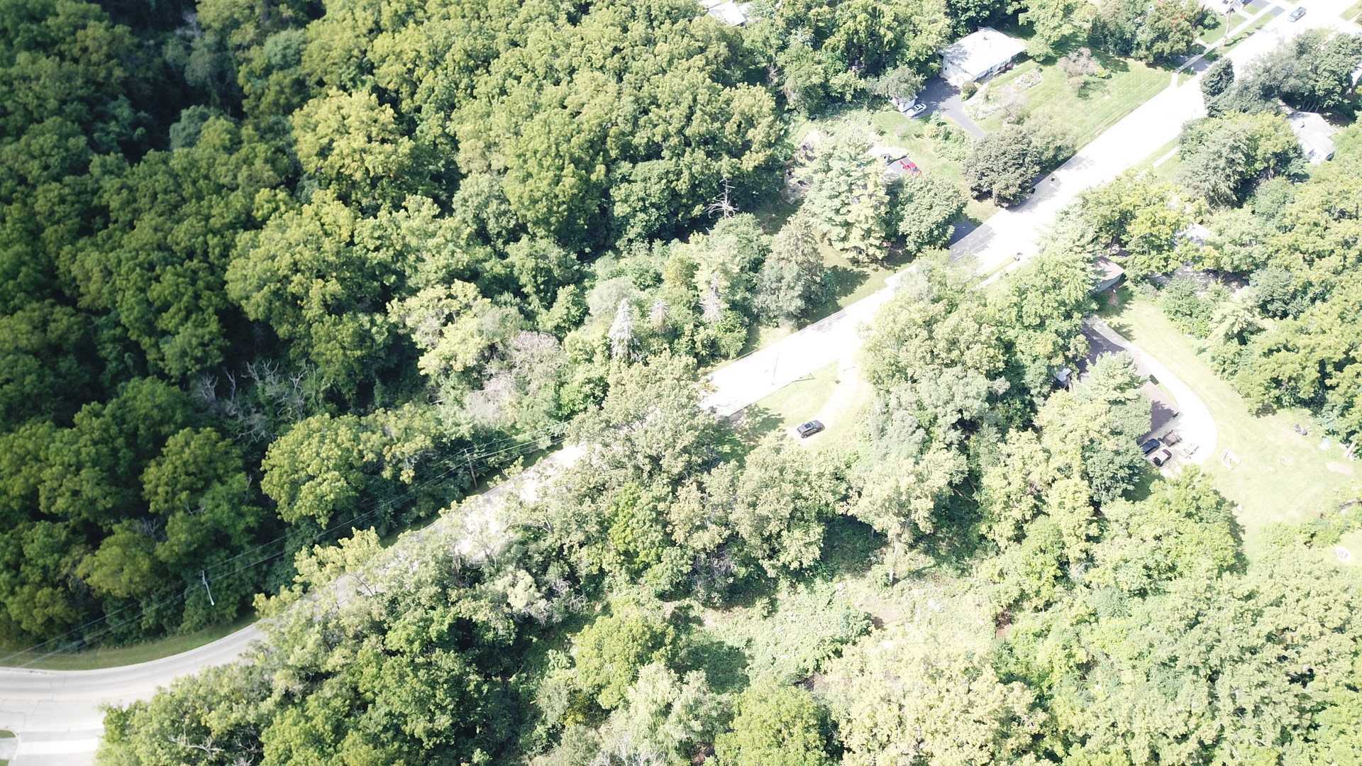 279 Spring Street Cary, IL 60013 - Photo 4 of 8