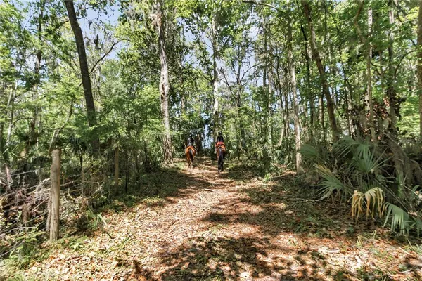 $3,980,000 | 7000 Northwest Highway 320, Micanopy, FL 32667