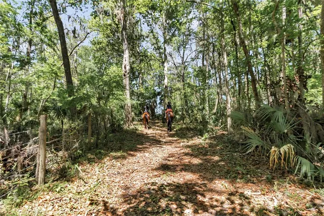 $4,000,000 | 7000 Northwest Highway 320, Micanopy, FL 32667