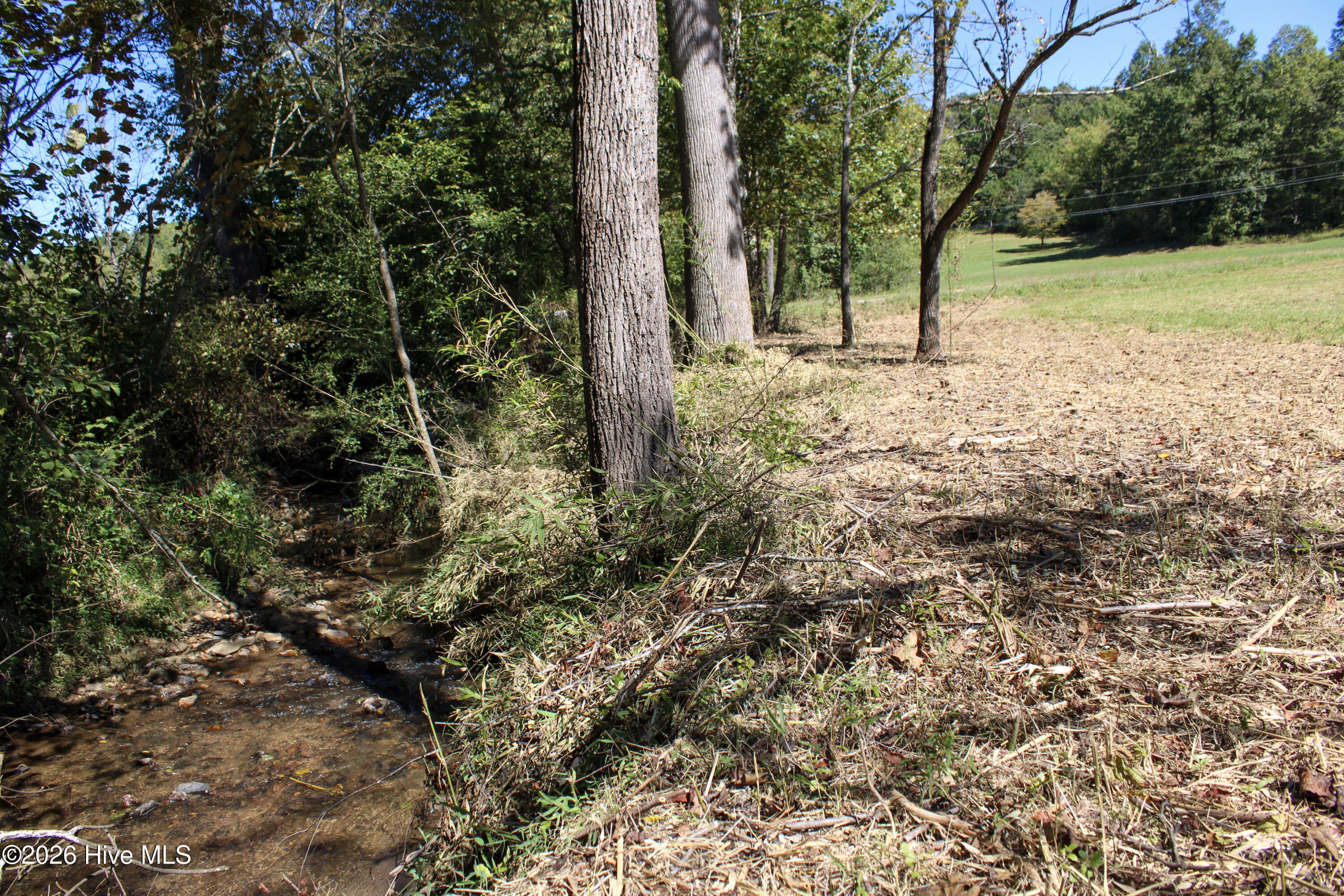 0 West Gum Log Road Warne, NC 28909 - Photo 25 of 26 IMG_6203