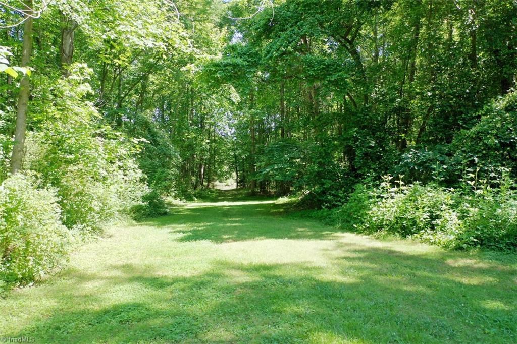 6028 Brantley Gordon Road Denton, NC 27239 - Photo 3 of 34 Lovely grassy area to enjoy while walking from the house to the pond.