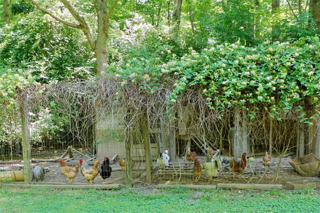 6028 Brantley Gordon Road Denton, NC 27239 - Photo 29 of 34 Ready for your instant farm? Owners will even leave the chickens for you - there are 11 hens and 2 roosters and they usually average 10 eggs per day.