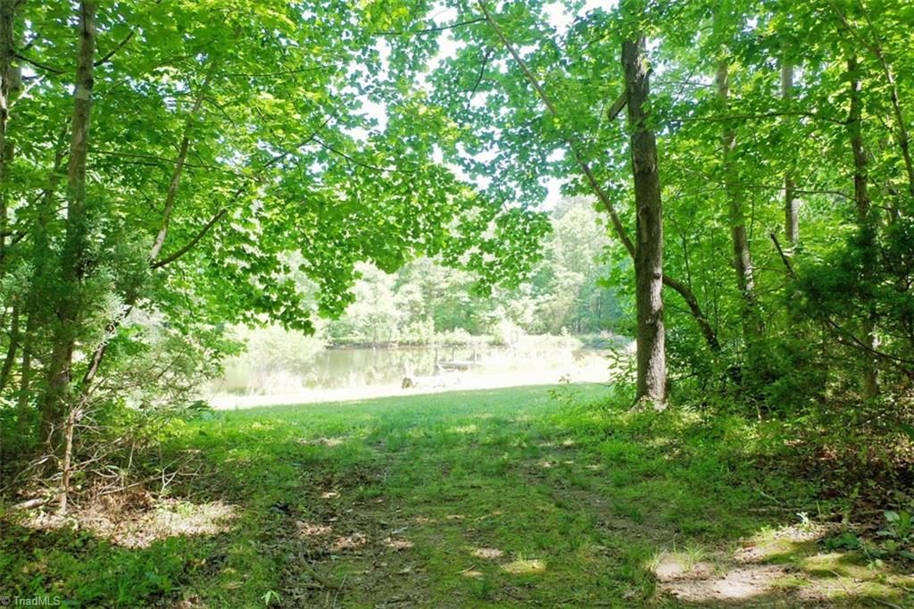 6028 Brantley Gordon Road Denton, NC 27239 - Photo 9 of 34 Picturesque walk to the pond at the rear of the property.