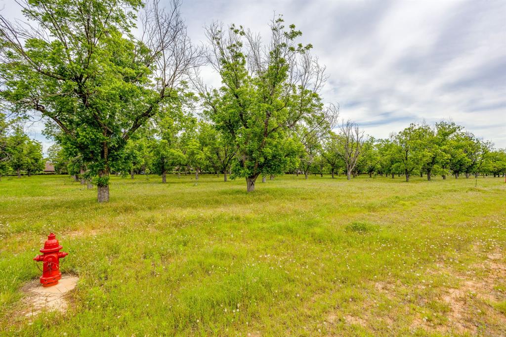 1000 West Landings Road North Granbury, TX 76049 - Photo 17 of 20