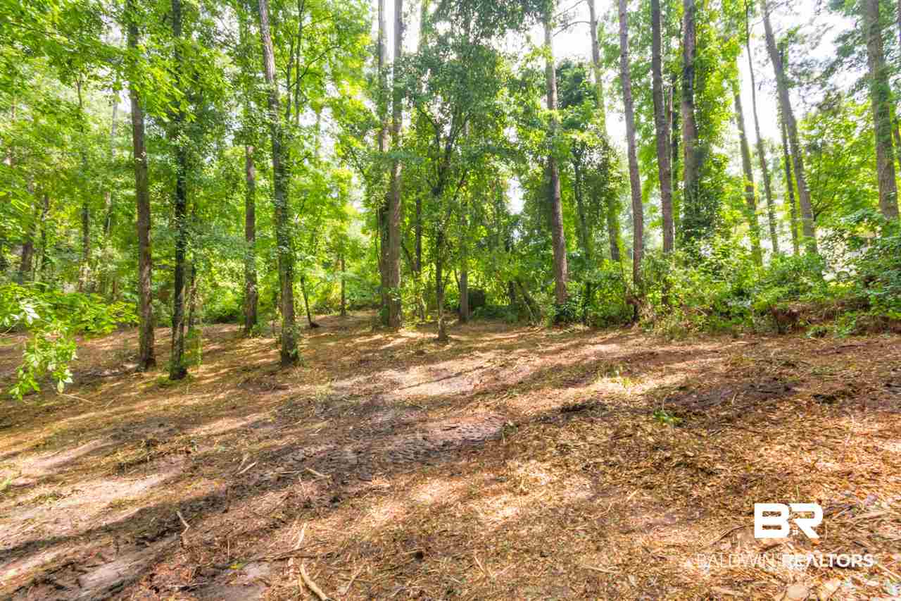 2 Military Bridge Drive Daphne, AL 36527 - Photo 1 of 12