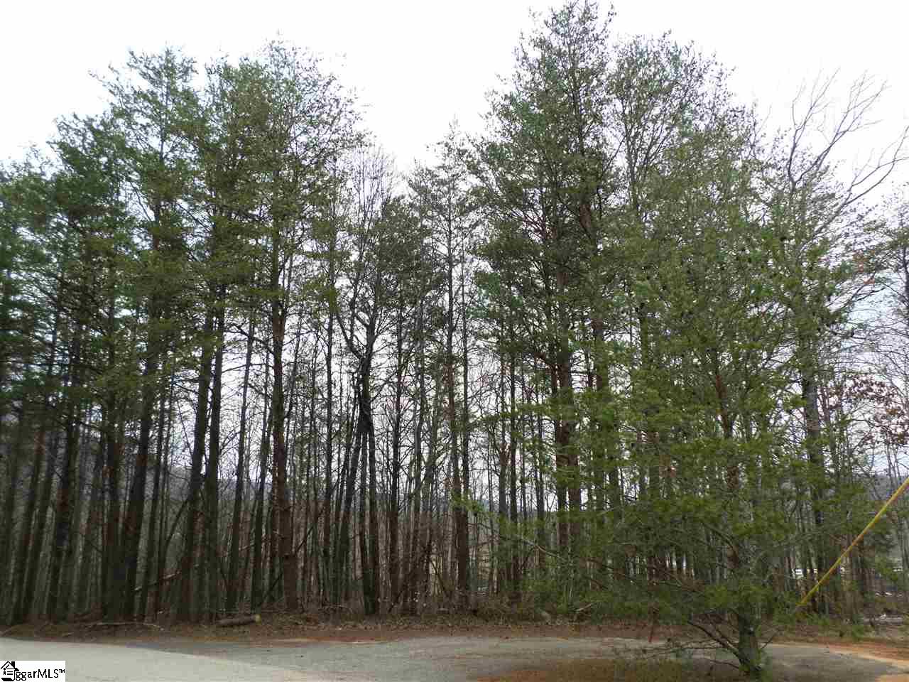 Pittman Road Landrum, SC 29356 - Photo 1 of 2