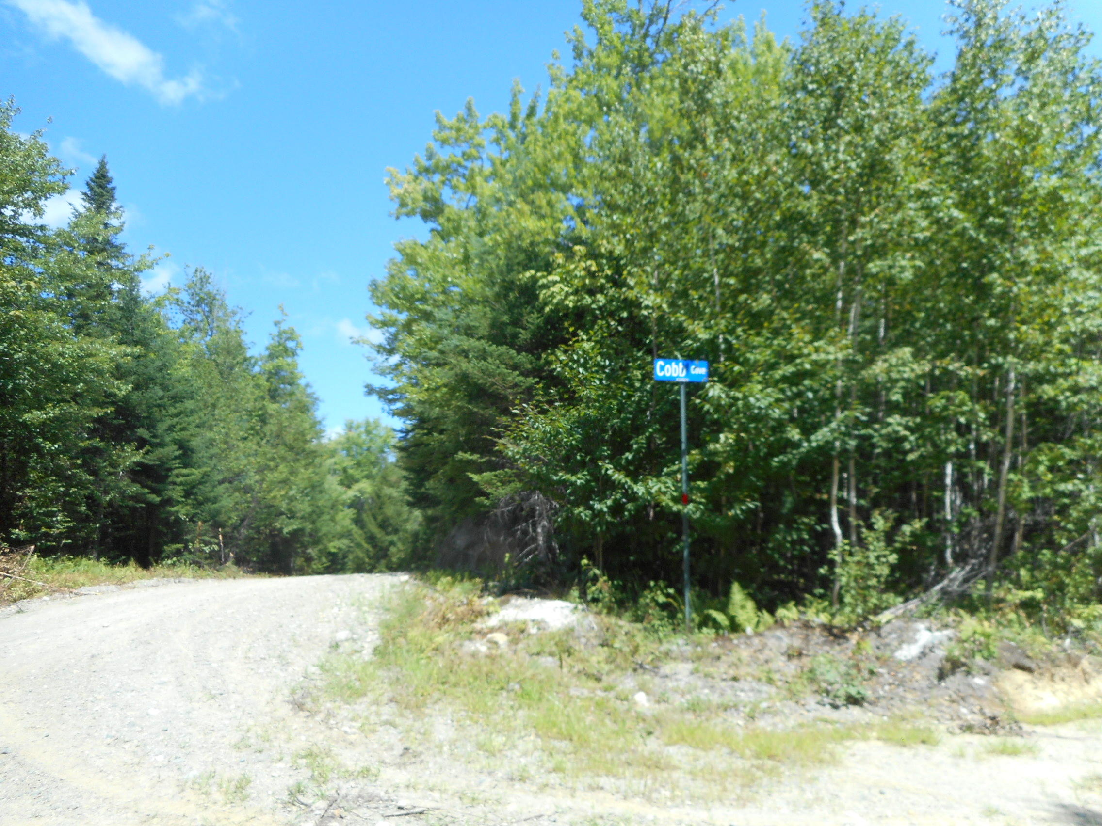 Tbd Tbd Wheeler Road Lincoln, ME 04457 - Photo 17 of 19 DSCN2619