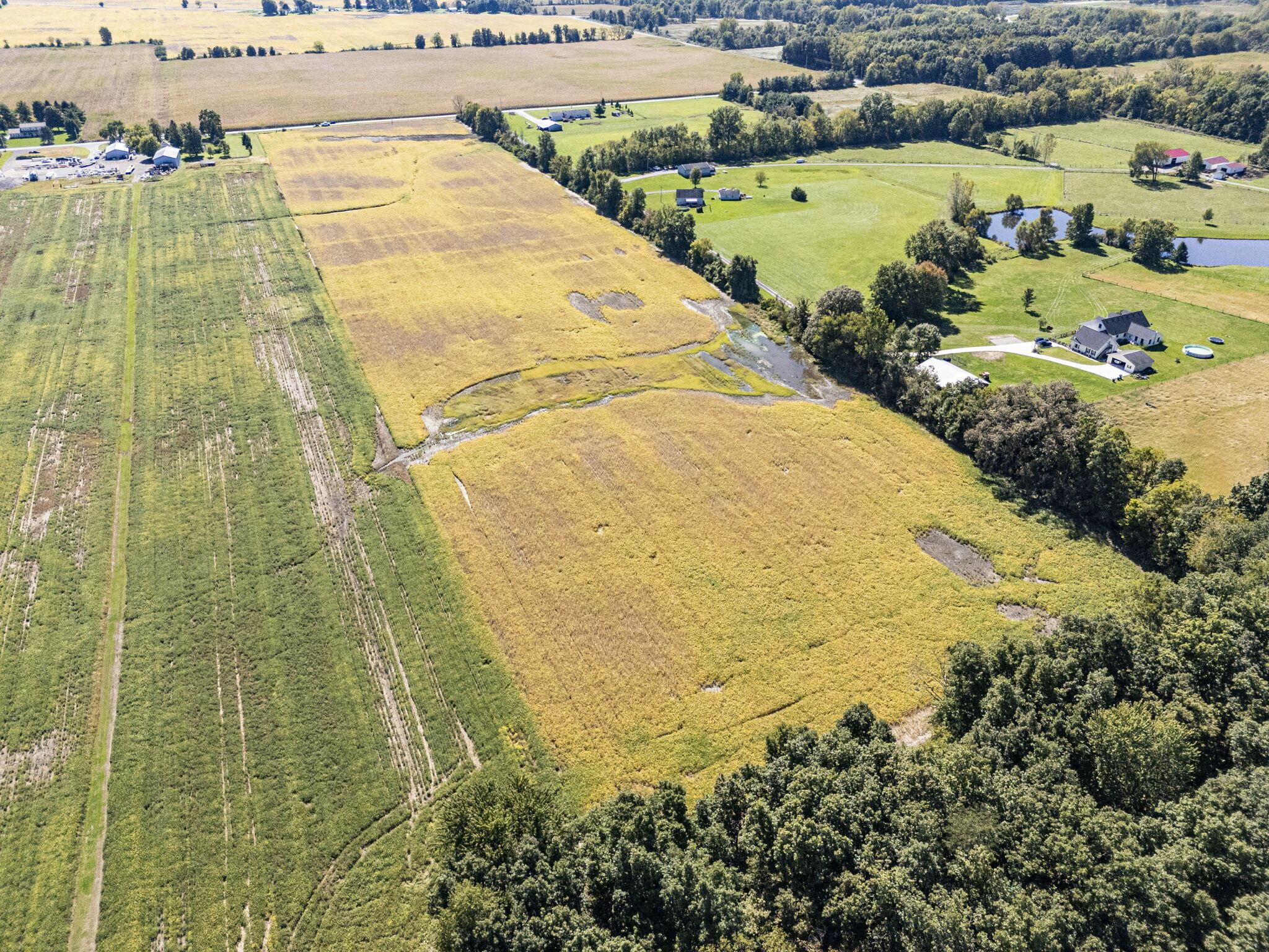 0 Cline Road, Unit TRACT 1 Waldo, OH 43356 - Photo 8 of 10 4-web-or-mls-DJI_20260929140130_0890_D